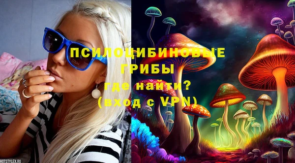 спайс Нефтекумск