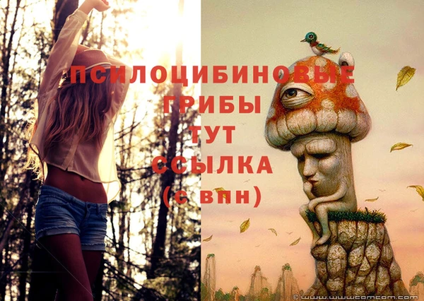 спайс Нефтекумск
