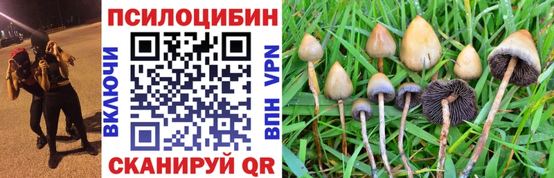 даркнет сайт  Рассказово  Псилоцибиновые грибы прущие грибы 